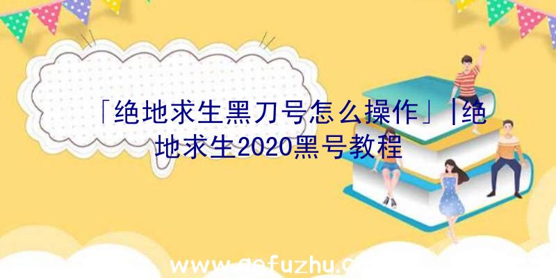 「绝地求生黑刀号怎么操作」|绝地求生2020黑号教程